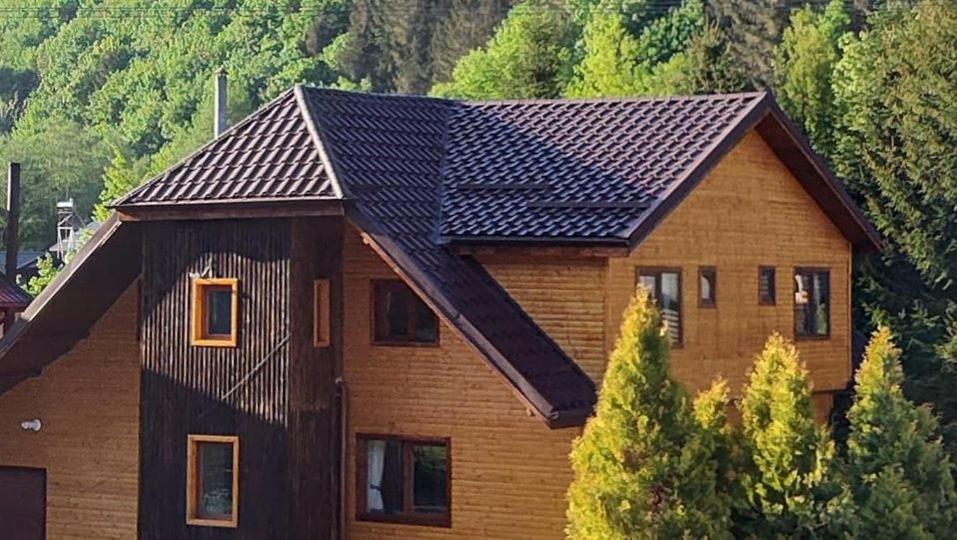 Sezatoarea Lupilor Villa Lepsa Bagian luar foto
