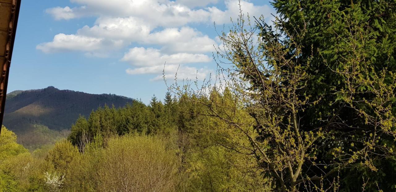Sezatoarea Lupilor Villa Lepsa Bagian luar foto