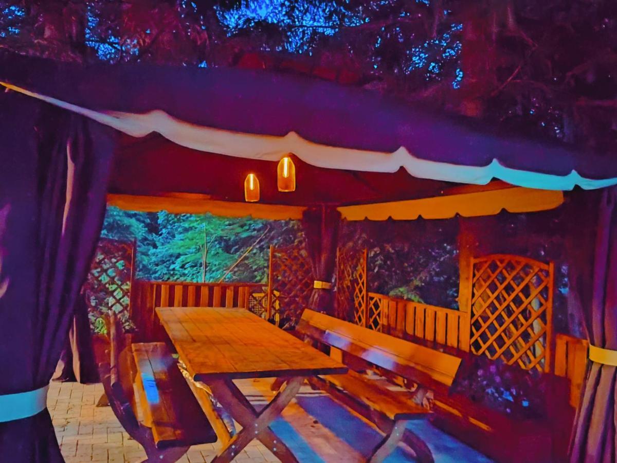 Sezatoarea Lupilor Villa Lepsa Bagian luar foto