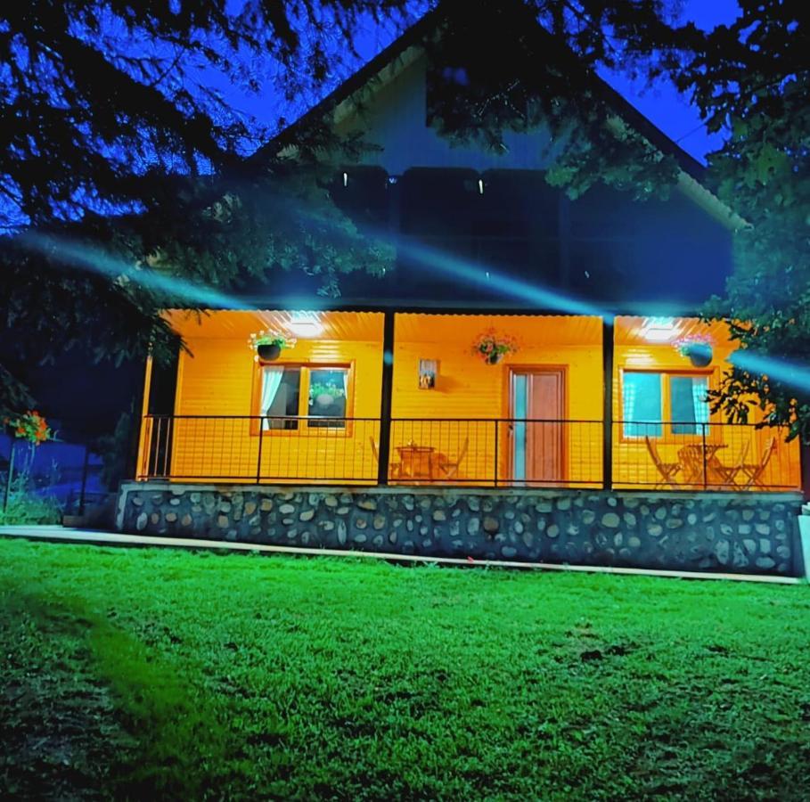 Sezatoarea Lupilor Villa Lepsa Bagian luar foto