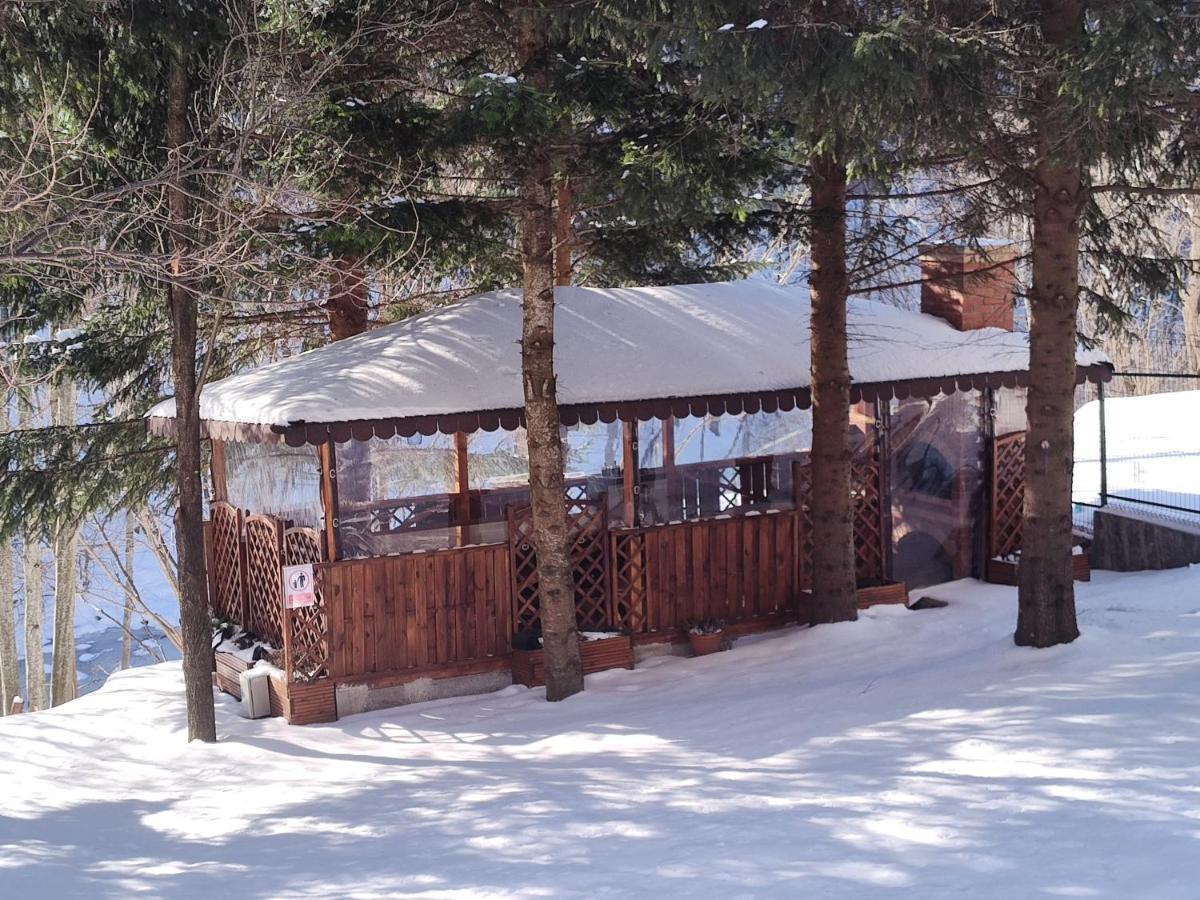 Sezatoarea Lupilor Villa Lepsa Bagian luar foto