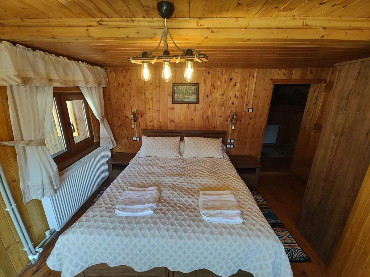 Sezatoarea Lupilor Villa Lepsa Bagian luar foto