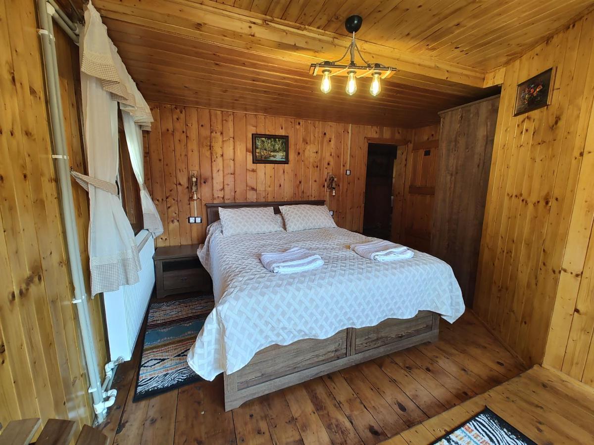 Sezatoarea Lupilor Villa Lepsa Bagian luar foto