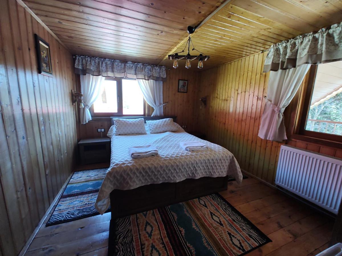 Sezatoarea Lupilor Villa Lepsa Bagian luar foto