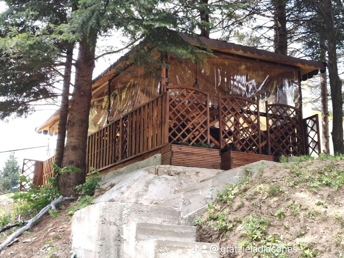 Sezatoarea Lupilor Villa Lepsa Bagian luar foto