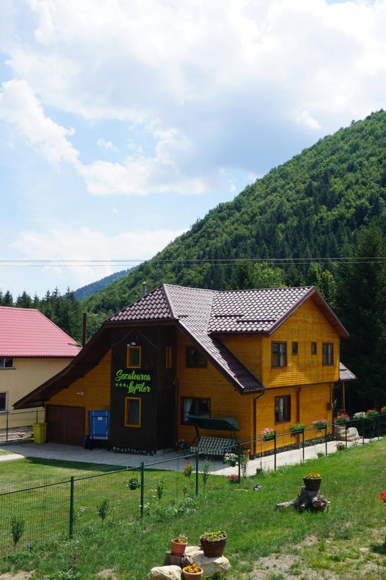 Sezatoarea Lupilor Villa Lepsa Bagian luar foto