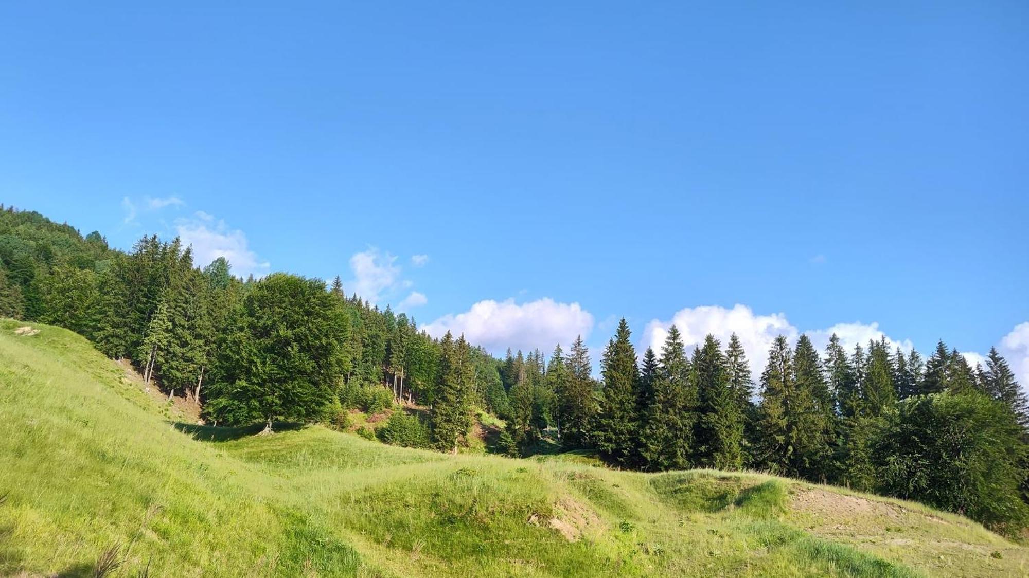 Sezatoarea Lupilor Villa Lepsa Bagian luar foto